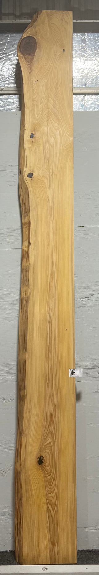 Live Edge Cypress Slab