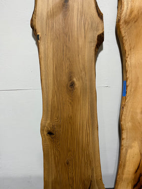 Live Edge Post Oak Slab - 0