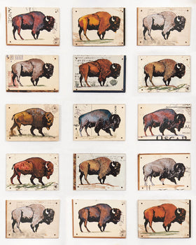 Dolan Geiman - Art Print | Buffalo Wall Art | As Far As the Eye Can See 16 x 20