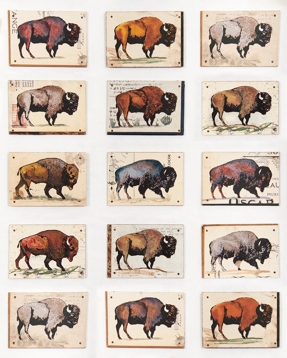 Dolan Geiman - Art Print | Buffalo Wall Art | As Far As the Eye Can See 16 x 20