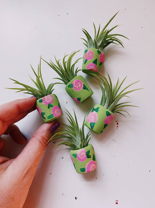 Buy sage-rosey Mini Air Plant Planters