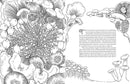 Insight Editions - Fantastic Fungi: The Coloring Book-2