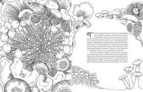 Insight Editions - Fantastic Fungi: The Coloring Book - 0