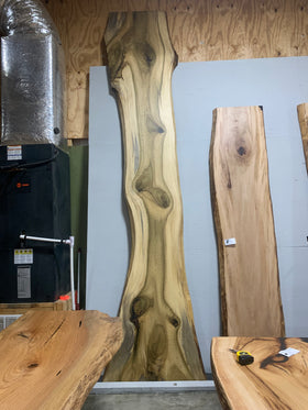 Live Edge Poplar Slab - 0