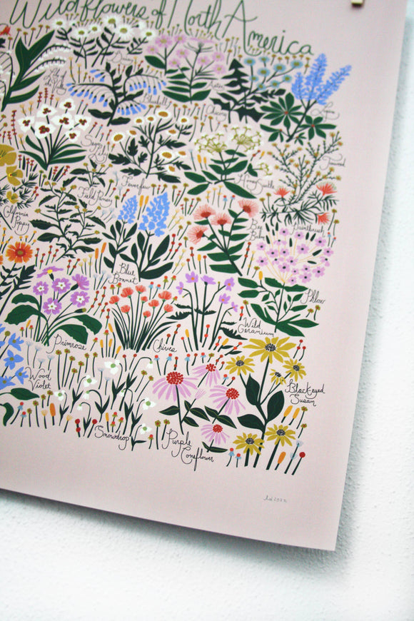 Leah Duncan - Wildflowers of North America Blush Poster