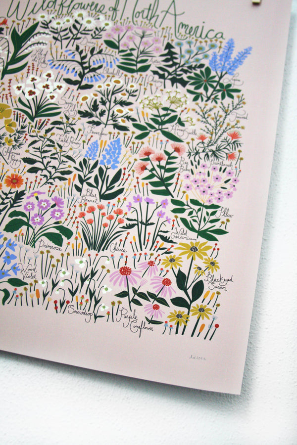 Leah Duncan - Wildflowers of North America Blush Poster