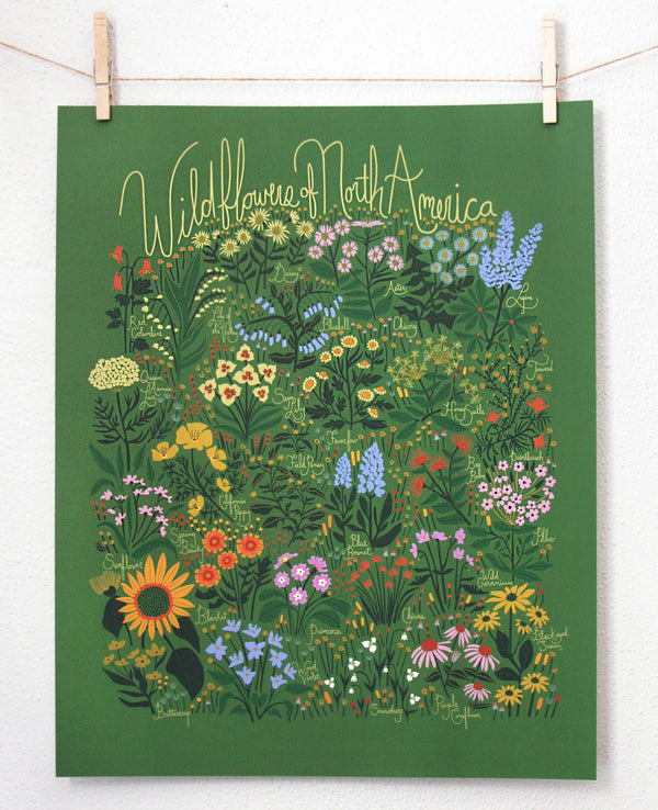 Leah Duncan - Wildflowers of North America Green Poster