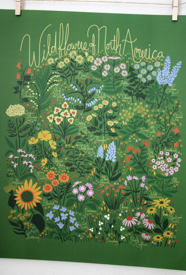 Leah Duncan - Wildflowers of North America Green Poster