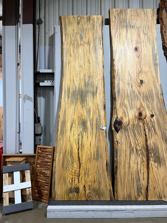 Finished live edge blue pine slab with natural grain and blue-gray streaks
