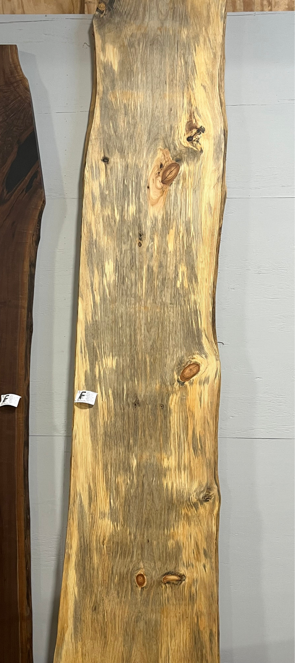 Finished live edge blue pine slab with natural grain and blue-gray streaks