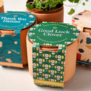 Modern Sprout - Tiny Terracotta Grow Kits-6