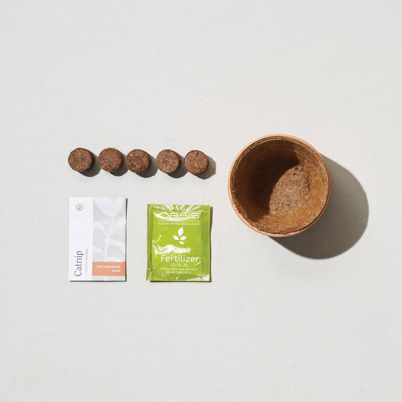 Modern Sprout - Tiny Terracotta Grow Kits