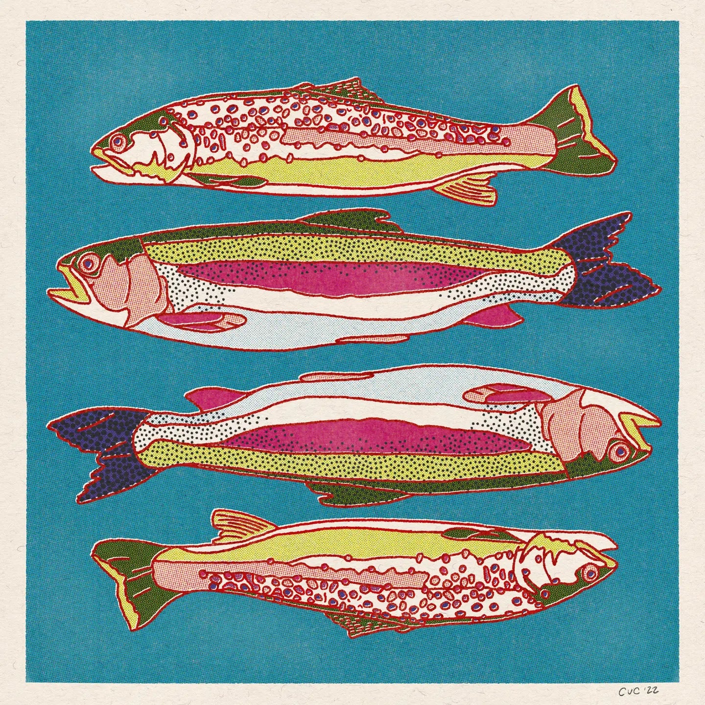 Rainbow and Brown Trout 12x12 Print - 0