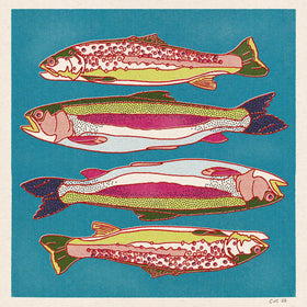 Rainbow and Brown Trout 12x12 Print - 0