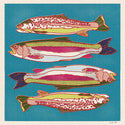 Rainbow and Brown Trout 12x12 Print