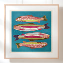 Rainbow and Brown Trout 12x12 Print