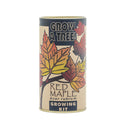 Red Maple | Seed Grow Kit
