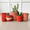 Storage Plant Basket: Tomato XS (6