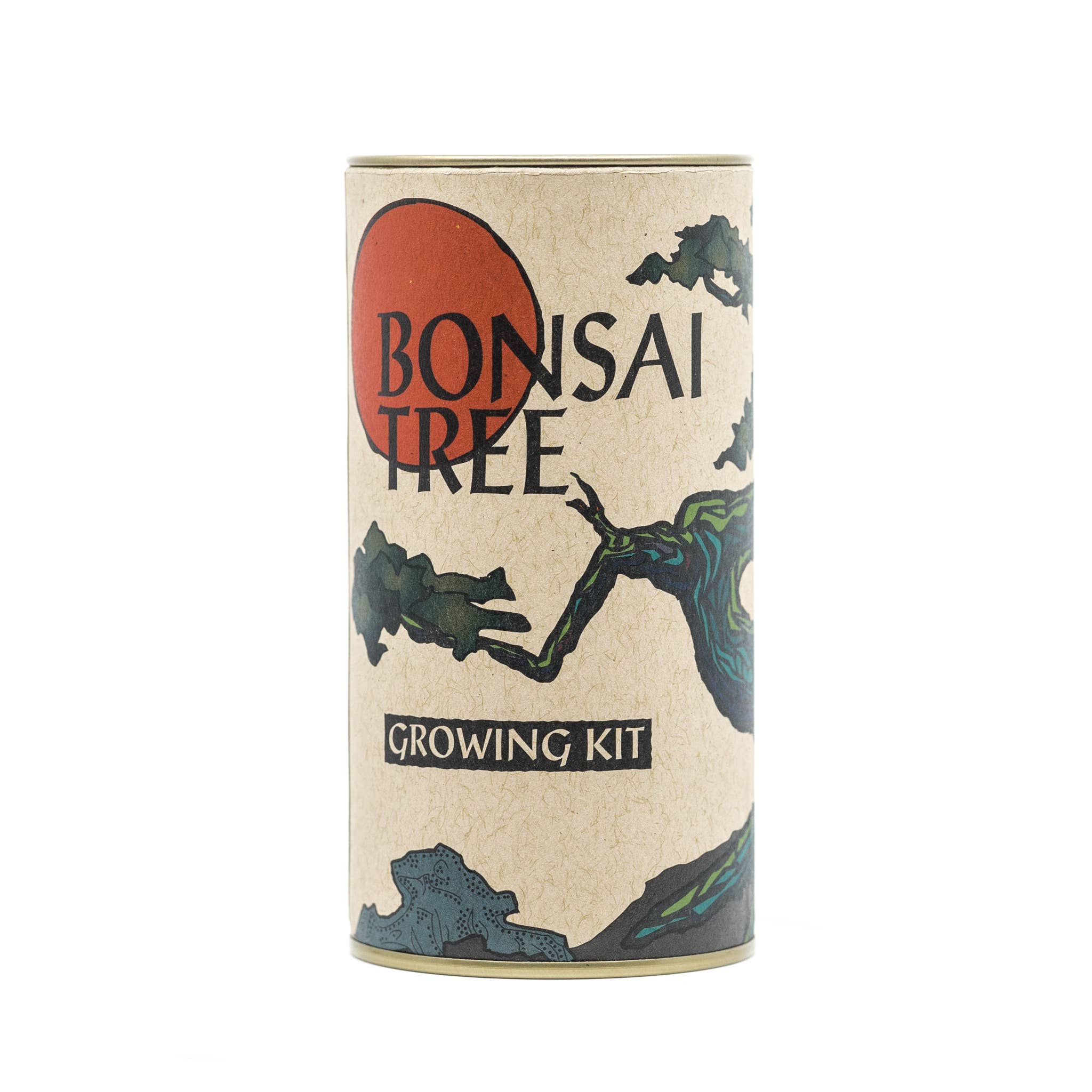 The Jonsteen Company - Bonsai Tree | Seed Grow Kit: Chinese Juniper - 0