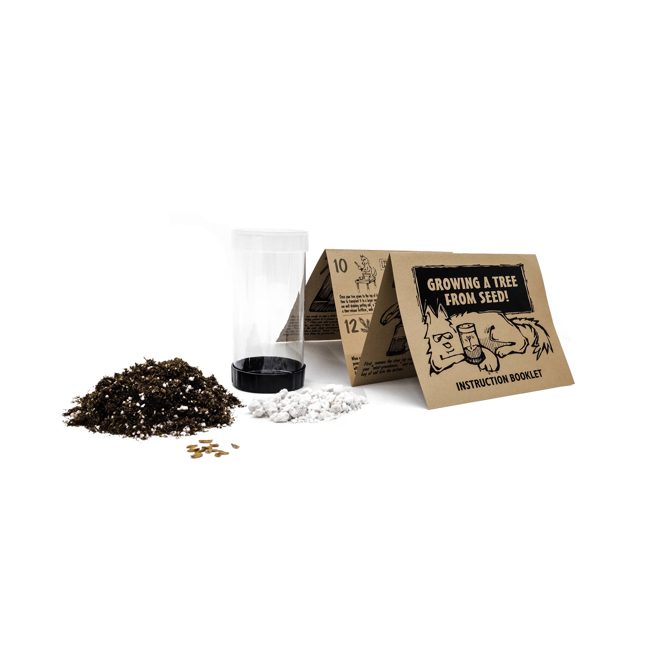 bonsai tree growing kit jonsteen company instructions Grow Your Own Bonsai Tree Kit Chinese Juniper