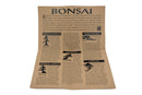 The Jonsteen Company - Bonsai Tree | Seed Grow Kit: Chinese Juniper-6