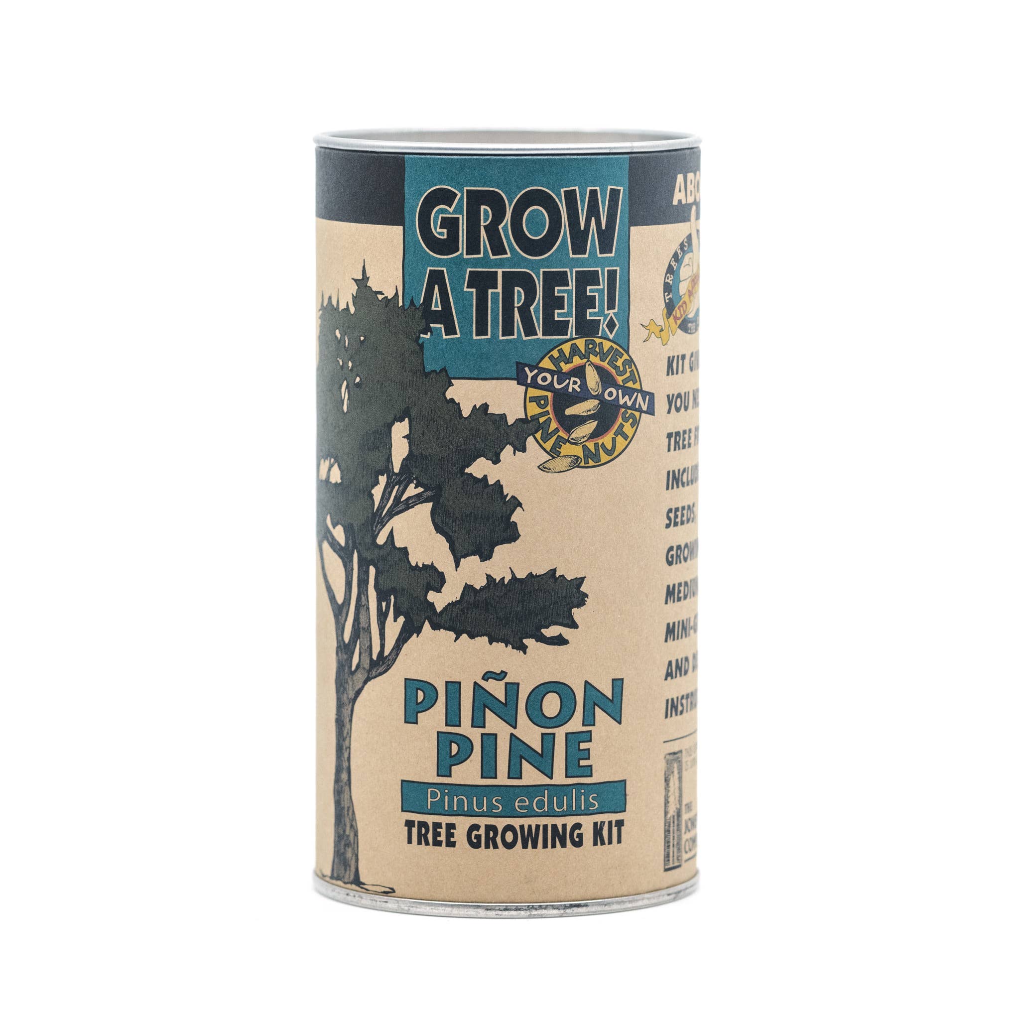 The Jonsteen Company - Piñon Pine | Seed Grow Kit