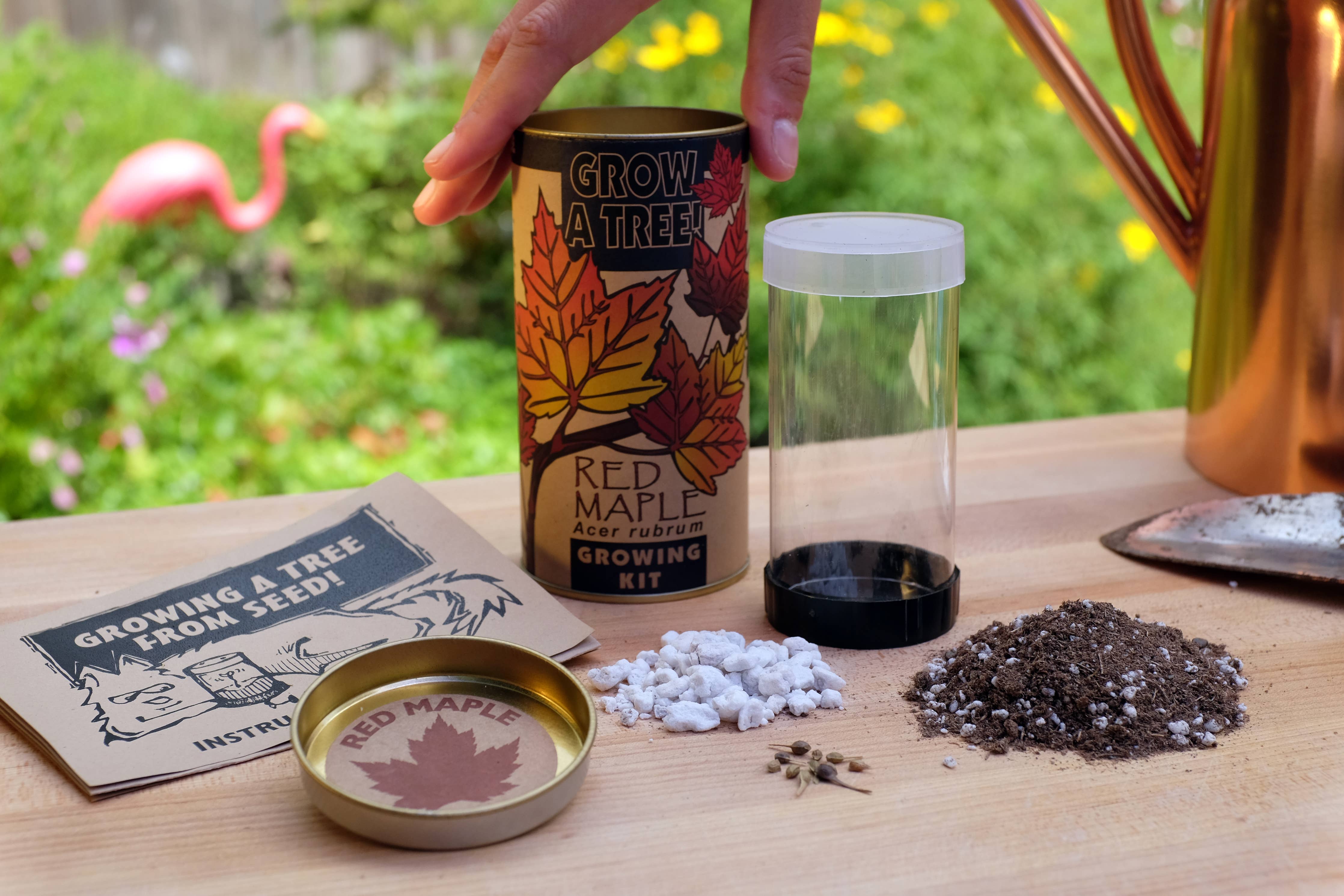 The Jonsteen Company - Red Maple | Seed Grow Kit - 0