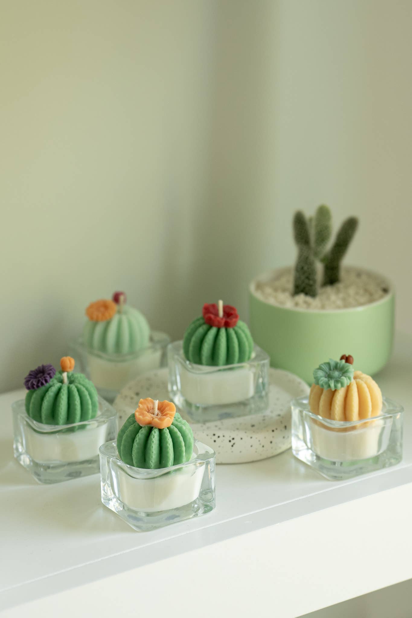 ZOETSTUDIO - Barrel Cactus Tealight Candles: Green w/ purple - 0