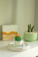 ZOETSTUDIO - Barrel Cactus Tealight Candles: Green w/ purple