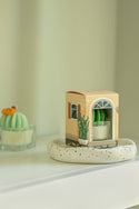 ZOETSTUDIO - Barrel Cactus Tealight Candles: Mint w/ orange