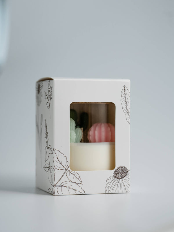 ZOETSTUDIO - Cactus Candle | Soy Blend Candle: Beach Vibe