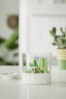 ZOETSTUDIO - Large 3-wick Terrarium Candle | Soy blend: Mountain Walk-4