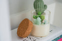 ZOETSTUDIO - Prickly Pear Cactus Candle| | Soy Blend: Mountain Walk