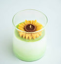 ZOETSTUDIO - Sunflower Soy Blend Candle | 8.5 oz candle: Mountain Walk