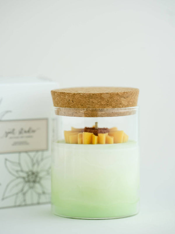 ZOETSTUDIO - Sunflower Soy Blend Candle | 8.5 oz candle: Mountain Walk