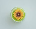 ZOETSTUDIO - Sunflower Soy Blend Candle | 8.5 oz candle: Mountain Walk