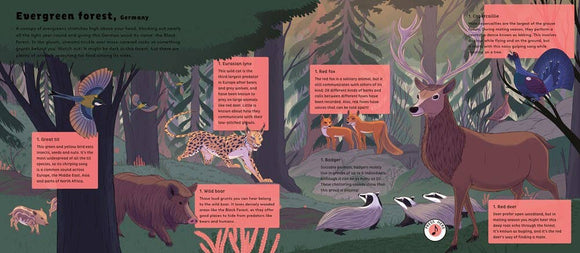 Microcosm Publishing & Distribution - World of Forests: Sounds of Nature