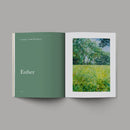 Alabaster Co - The Good and Beautiful Bible Study-3