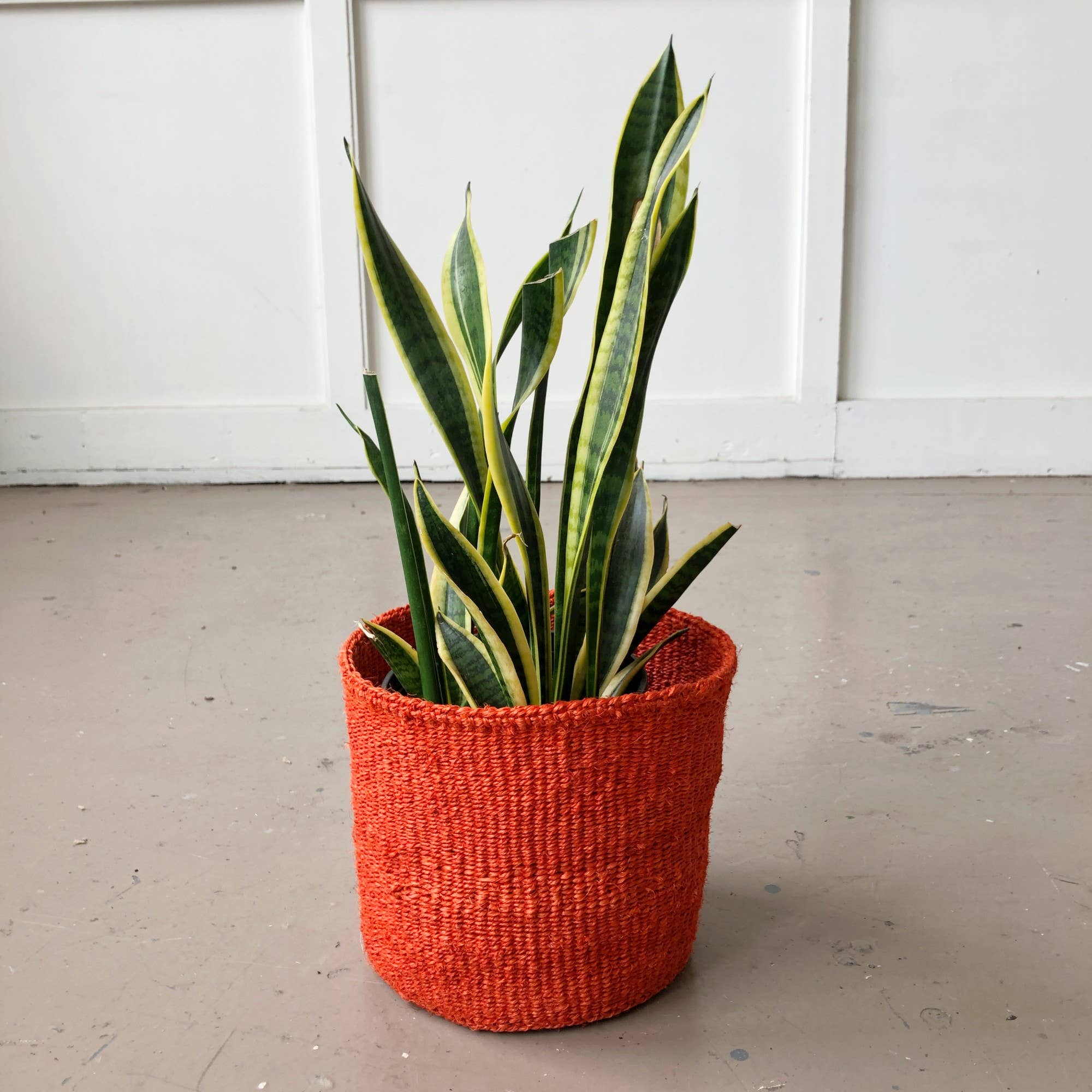 Amsha - Storage Plant Basket: Tomato: XS (6"x6") White Stripe
