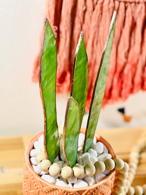Samara Designs Studio - Stained Glass Snake Plant