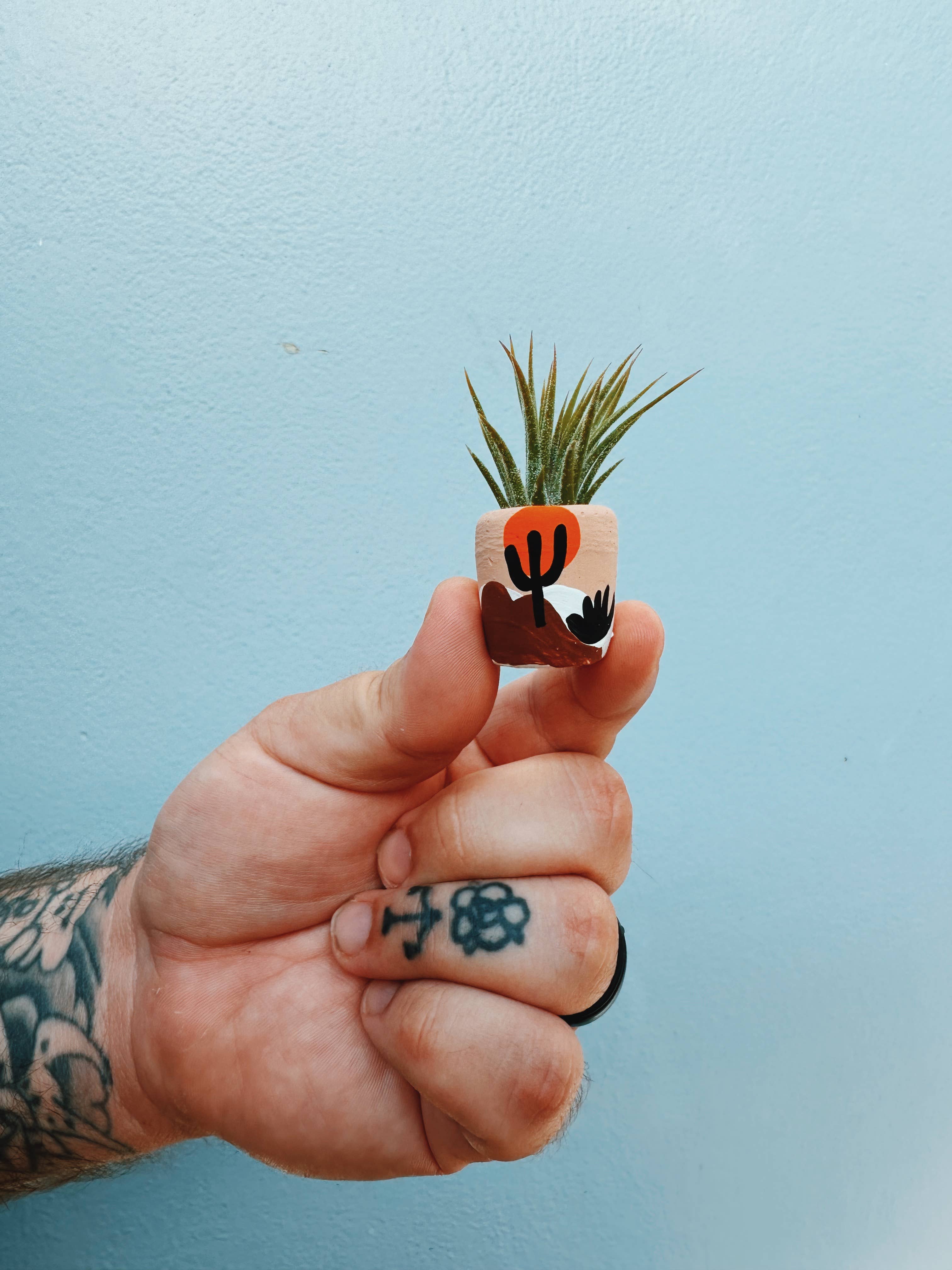 O'Berry's Succulents - Joshua Tree Mini Planter