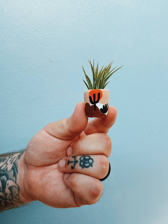 O'Berry's Succulents - Joshua Tree Mini Planter