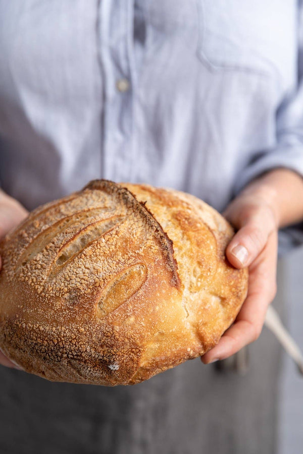 Cultures for Health - Artisan Sourdough Kit