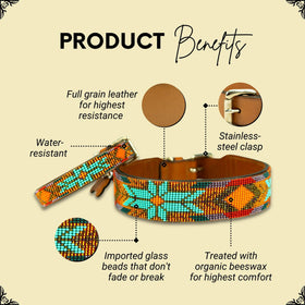 Sambboho - Sardinia Sambboho Dog Collar (Glam Collection): 12-14" - 0