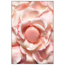 ACC Art Books Ltd - Laduree Macarons-6