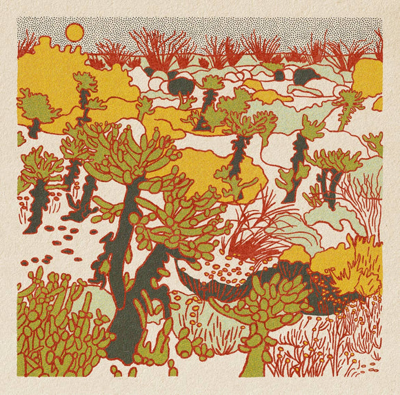 Caroline Clark - Morning Desert Postcard Set