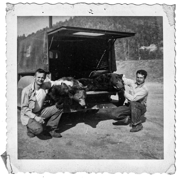 A pair of bears in the logging camp.