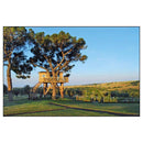 ACC Art Books Ltd - Tree Houses-7