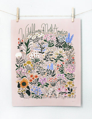 Leah Duncan - Wildflowers of North America Blush Poster