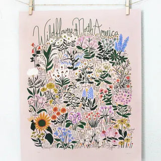 Wildflowers of North America Blush Poster